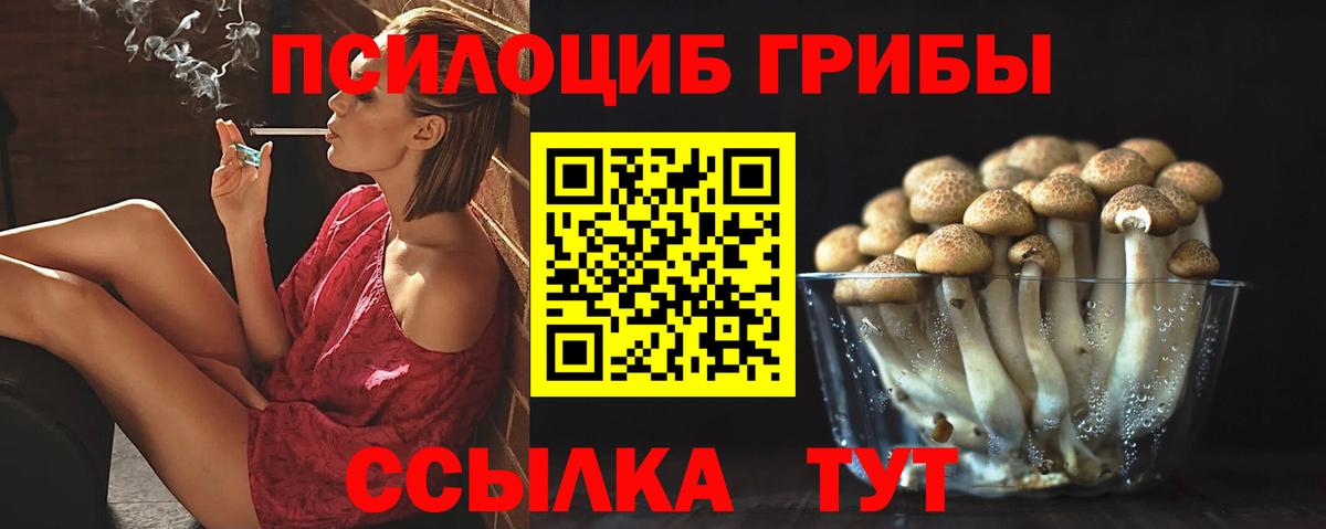 Бирск  Псилоцибиновые грибы прущие грибы  Вход с VPN 