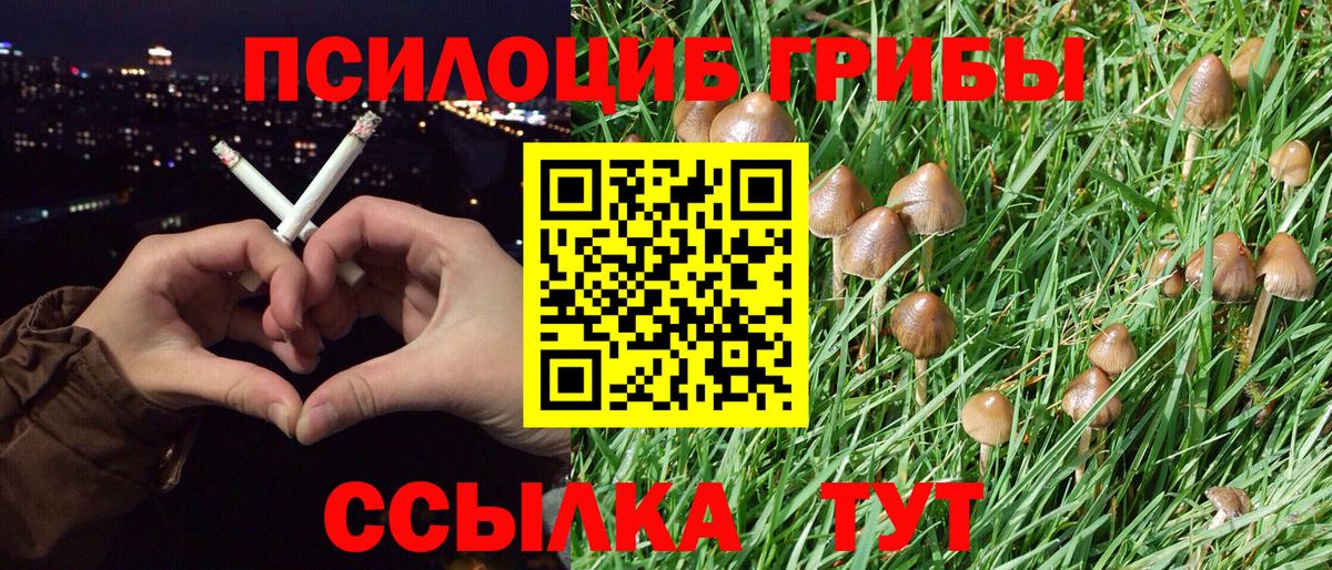 Галлюциногенные грибы мицелий Бирск